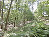 Nijkerk - Kruishaarschans RM30980.JPG -  Omwalling Kruishaarschans of Kruishaardensberg Nijkerk 