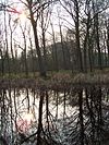 Park Brakkestein, Nijmegen -  Parc Brakkestein, Nijmegen 
