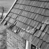 Korenmolen 