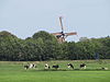 2010-09-11 om oij etten de witten 01.JPG -  Molen De Witten, Etten. 