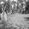 Voormalige Joodse begraafplaats met grafstenen te Terborg - Terborg - 20345249 - RCE -  Voormalige Joodse begraafplaats: Voormalige Joodse begraafplaats met grafstenen te Terborg (opmerking: Gefotografeerd voor MIP Gelderland) 