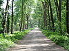tuin park landgoed