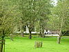 Boerderij Oldenallerallee 5 - Putten -  Boerderij Klein Oldenaller - Oldenallerallee 5, Putten, Gelderland 
