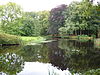 Oldenaller 7 -  Tuin Oldenaller 