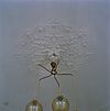 Interieur, plafond met ornament detail - Renkum - 20338784 - RCE -  Huis Keyenberg: Interieur, plafond met ornament detail 