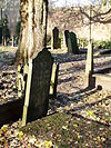 T.T Begraafplaats Tiel (4).JPG