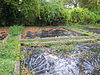 Proefbakken Wageningen - 07.JPG