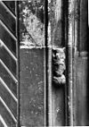 Ingang Toren, detail - Winterswijk - 20215223 - RCE -  Nederlands Hervormde Kerk en Toren: ingang Toren, detail 