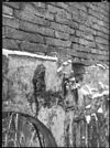 RuÃ¯ne, fragmenten van fayence - Brakel - 20039548 - RCE -  Huis Brakel: ruÃ¯ne, fragmenten van fayence 