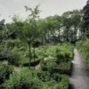 Overzicht van de oude moestuin bij huis Brakel