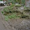 Plaats van voormalige westvleugel met op de voorgrond (midden in beeld) - fundamenten van na de oorlog afgebroken zeskantige toren - Nederhemert-Zuid - 20340496 - RCE -  Kasteel Nederhemert: Plaats van voormalige westvleugel met op de voorgrond (midden in beeld) : fundamenten van na de oorlog afgebroken zeskantige toren (opmerking: Gefotografeerd in het kader van Kanjerproject)  Nederhemert Castle: Place of former west wing in the foreground (right in picture): foundations of post-war broken hexagonal tower (note: Photographed under Kanjer Project) FranÃ§ais : ChÃ¢teau Nederhemert: Place de l'ancien aile ouest en premier plan (Ã  droite sur la photo)…