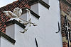 2010-8 mon 14 def; Ruiterstraat 6, nr. 40256 -  huis Zaltbommel 