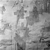 Detail schildering van Christoffel tijdens restauratie - Zaltbommel - 20219895 - RCE -  Nederlands Hervormde Kerk of Grote of Sint Maartens Kerk en Tore: detail schildering van Christoffel tijdens restauratie 