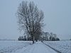 Vliedorp vanaf Vlakke Riet (winter) -  Vliedorp (Groningen, Nederland) gezien vanaf de Vlakke Riet.