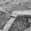 Detail linker deel van het juk met telmerken. - Godlinze - 20078795 - RCE -  Ned.Herv.Kerk: detail linker deel van het juk met telmerken. 