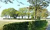 Losdorp - begraafplaats exterieur -  Exterieur van de begraafplaats van Losdorp (Groningen, Nederland) gezien vanaf de weg (haag en bomen op achtergrond).