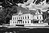 Kasteel Nienoord Leek met grazenden ganzen -  Nienoord is een adellijk landgoed met monumenten (kasteel), natuurschoon en toeristische attracties.  Nienoord is an estate with monuments (castle), scenery and tourist attractions 