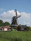 Zeldenrust
