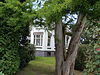 Rentenierswoning interbellumstijl Meeden 5