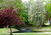Noorderstraat 1 Noordbroek (tuin) -  Tuin van de voormalige hervormde pastorie Noorderstraat 1 Noordbroek