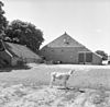 Achtergevel - Beerta - 20029664 - RCE -  achtergevel 