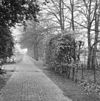 Exterieur OVERZICHT BOMENLAAN - Midwolda - 20298600 - RCE -  Boerderij: Exterieur OVERZICHT BOMENLAAN 