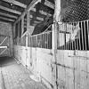 INTERIEUR, OVERZICHT PAARDENSTAL - Midwolda - 20298644 - RCE -  Boerderij: INTERIEUR, OVERZICHT PAARDENSTAL 