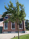 Oldambtster dwarshuisboerderij in eclectische bouwtrant Oostwold - 5