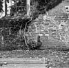 Noordmuur met doorgang van 2 meter in tufsteen en een later poortje in baksteen. - Baflo - 20027380 - RCE -  Nederlands Hervormde Kerk: Noordmuur met doorgang van 2 meter in tufsteen en een later poortje in baksteen. 