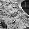 Detail, schildering oost gevel - Baflo - 20027427 - RCE -  N.H.Kerk: detail, schildering oost gevel 