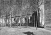 Exterieur vanuit het zuiden en vanuit het zuid-westen - Baflo - 20027371 - RCE -  N.H.Kerk: exterieur vanuit het zuiden en vanuit het zuid-westen 