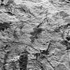Detail, schildering oost gevel - Baflo - 20027428 - RCE -  N.H.Kerk: detail, schildering oost gevel 
