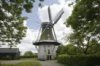 Overzicht van de molen