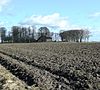 Plaats Teenstrawei.JPG -  Plaats aan de Teenstraweg in de Oude Ruigezandsterpolder. Frysk: Pleats Teenstrawei, RÃ»gesÃ¢n. Eigen wurk. 