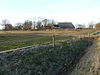 Terrein met een wierde (Aalsum)