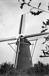 Ronde stenen molen - Afferden - 20005236 - RCE -  Nooit Gedacht: Ronde stenen molen 