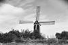 Molen, overzicht - Beegden - 20028805 - RCE -  Sint Lindert: Molen, overzicht 
