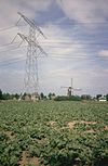 Akker met hoogspanningsmast en op de achtergrond de standerdmolen - Beegden - 20260845 - RCE -  Sint Lindert: Akker met hoogspanningsmast en op de achtergrond de standerdmolen 