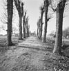 Exterieur overzicht vanaf de laan met bomen naar het huis toe (bouwvallige staat) - Thorn - 20002941 - RCE -  Kleine Hegge: Exterieur overzicht vanaf de laan met bomen naar het huis toe (bouwvallige staat) 