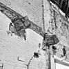 INTERIEUR, SCHUUR, BALKCONSTRUCTIE, TROGGEWELFJES - Maastricht - 20286541 - RCE -  Kasteel Vaeshartelt: INTERIEUR, SCHUUR, BALKCONSTRUCTIE, TROGGEWELFJES 