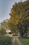 Overzicht oprijlaan met beuken - Maastricht - 20334301 - RCE -  Villa Canne: Overzicht oprijlaan met beuken 