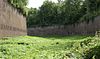 Maastricht - rijksmonument 28018 - Kastanjelaan 50 - Fort Willem I - in de droge gracht geflankeerd door kazematten 20100911 -  Rijksmonument 28018 - Fort Willem I, Kastanjelaan 50, Maastricht. In de droge gracht geflankeerd door kazematten. 