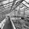 Interieur, overzicht kleine kas - Molenhoek - 20002600 - RCE -  Jachtslot Mookerheide: Interieur, overzicht kleine kas 