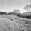 Overzicht oostelijke betonnen fruitmuur - Molenhoek - 20002546 - RCE -  Jachtslot Mookerheide: Overzicht oostelijke betonnen fruitmuur 
