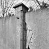 Fruitmuur, gewapend beton, detail - Molenhoek - 20002563 - RCE -  Jachtslot Mookerheide: Fruitmuur, gewapend beton, detail 