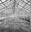 Interieur, grote kas, overzicht oostvleugel - Molenhoek - 20002598 - RCE -  Jachtslot Mookerheide: Interieur, grote kas, overzicht oostvleugel 