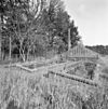 Overzicht kleine kas en broeikassen - Molenhoek - 20002549 - RCE -  Jachtslot Mookerheide: Overzicht kleine kas en broeikassen 