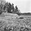 Kleine kas met verdiepte tuin in verwaarloosde staat - Molenhoek - 20002551 - RCE -  Jachtslot Mookerheide: Kleine kas met verdiepte tuin in verwaarloosde staat 