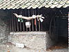 Hulsberg-Draaiput Haasdallerweg (3).JPG -  Draaiput Haasdallerweg, Aalbeek, Hulsberg, Limburg, the Netherlands  Draaiput Haasdallerweg, Aalbeek, Hulsberg, Limburg, Nederland