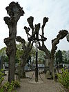 Bingelrade-Oude kerkhof-kruisen (8).JPG -  Kruisen Oude kerkhof, Bingelrade, Limburg, the Netherlands  Kruisen Oude kerkhof, Bingelrade, Limburg, Nederland